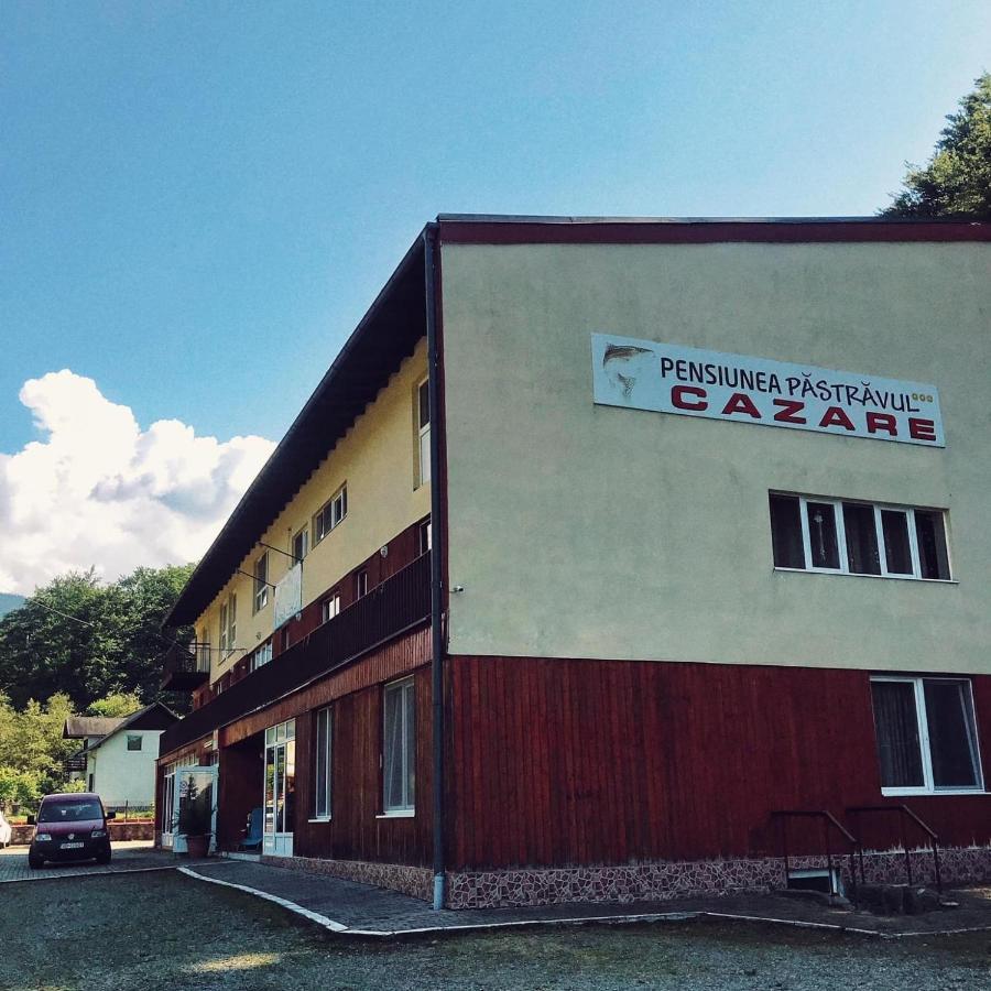 Hotel Pensiunea Pastravul Cîrţişoara Exterior foto