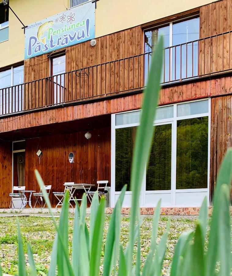 Hotel Pensiunea Pastravul Cîrţişoara Exterior foto