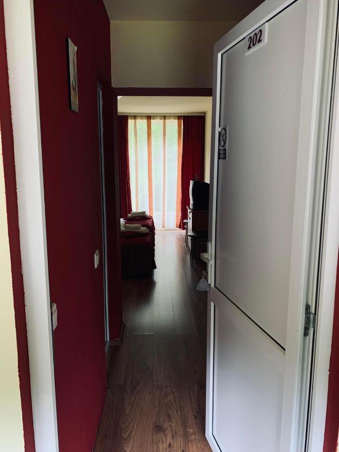 Hotel Pensiunea Pastravul Cîrţişoara Exterior foto