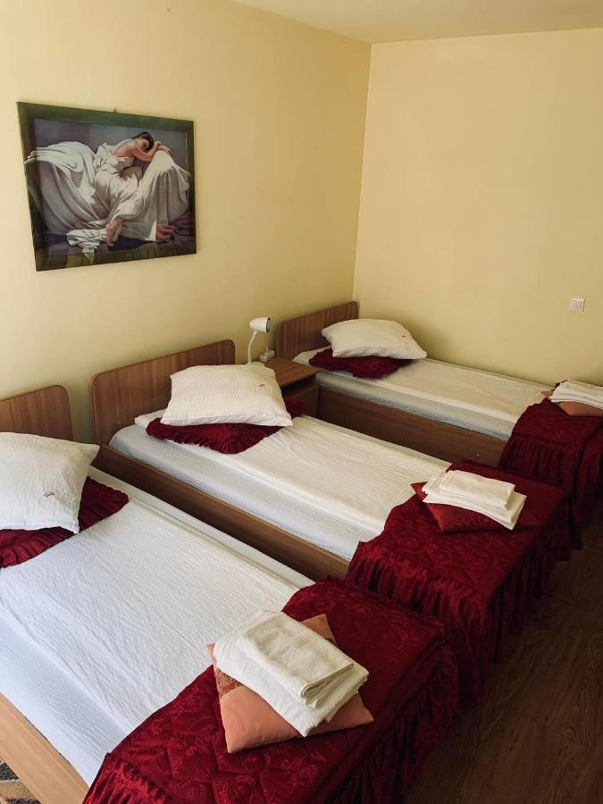 Hotel Pensiunea Pastravul Cîrţişoara Exterior foto