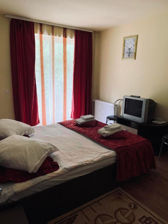 Hotel Pensiunea Pastravul Cîrţişoara Exterior foto