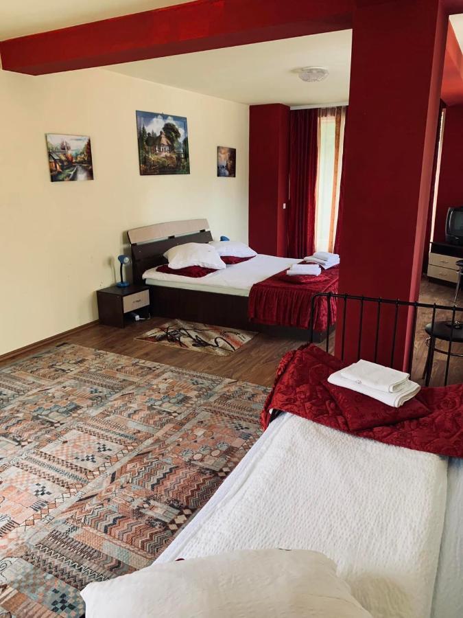 Hotel Pensiunea Pastravul Cîrţişoara Exterior foto