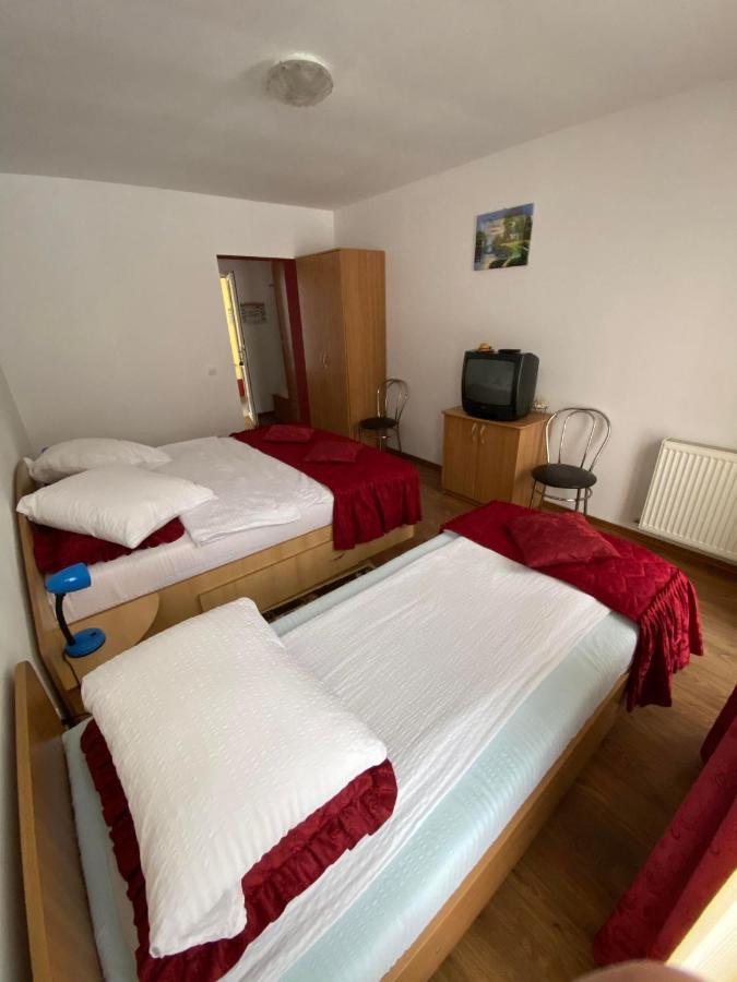 Hotel Pensiunea Pastravul Cîrţişoara Exterior foto