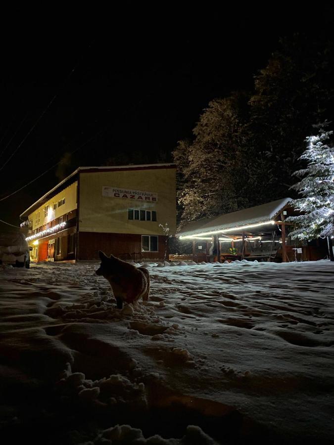 Hotel Pensiunea Pastravul Cîrţişoara Exterior foto