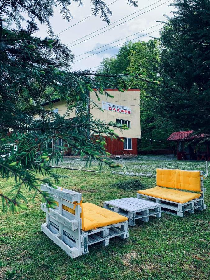 Hotel Pensiunea Pastravul Cîrţişoara Exterior foto